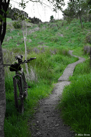 Chill Dirt Features Auckland in 48 Hours by Hayden Shore