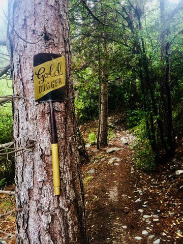 Chill Dirt Features Gold Digger Trail Queenstown