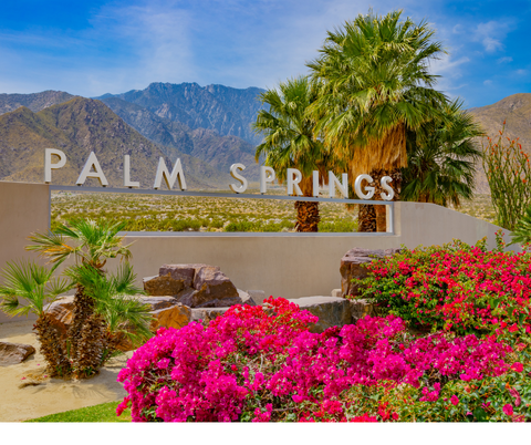 Palm Springs Bachelorette Party