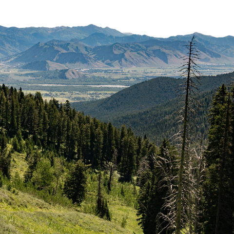 jackson hole bachelorette party