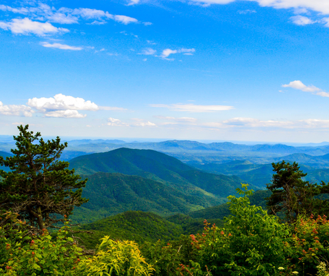 Asheville Bachelorette Party