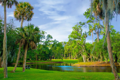 hilton head bachelorette party