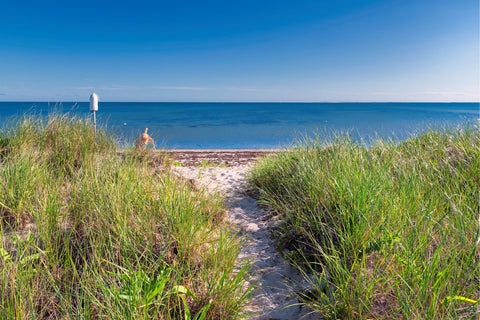 cape cod bachelorette party