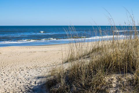 virginia beach bachelorette party