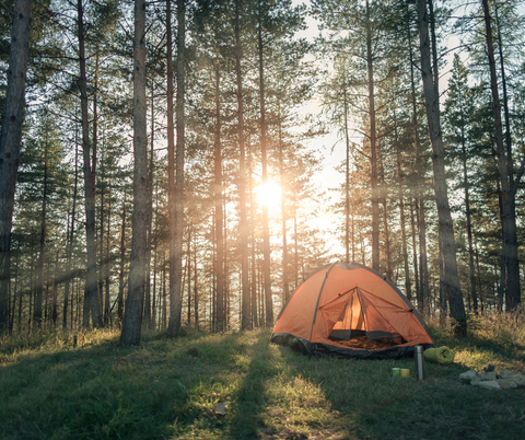 bachelorette camping