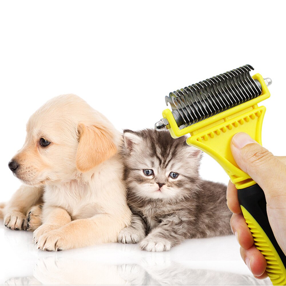 dog cat grooming