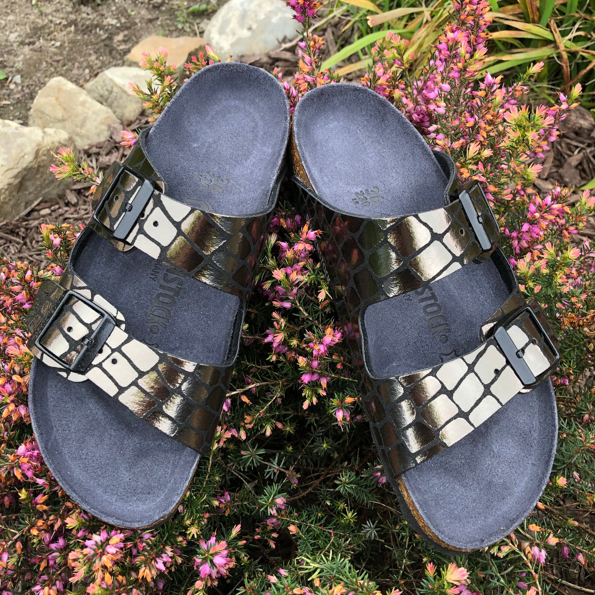 birkenstock gator