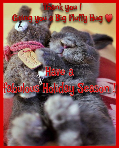 Happy holidays ! Bunny hugging its toy