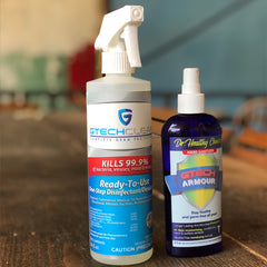 the best disinfectant spray and the best hand sanitizer