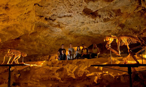 Naracoorte caves national park zoomlite blog