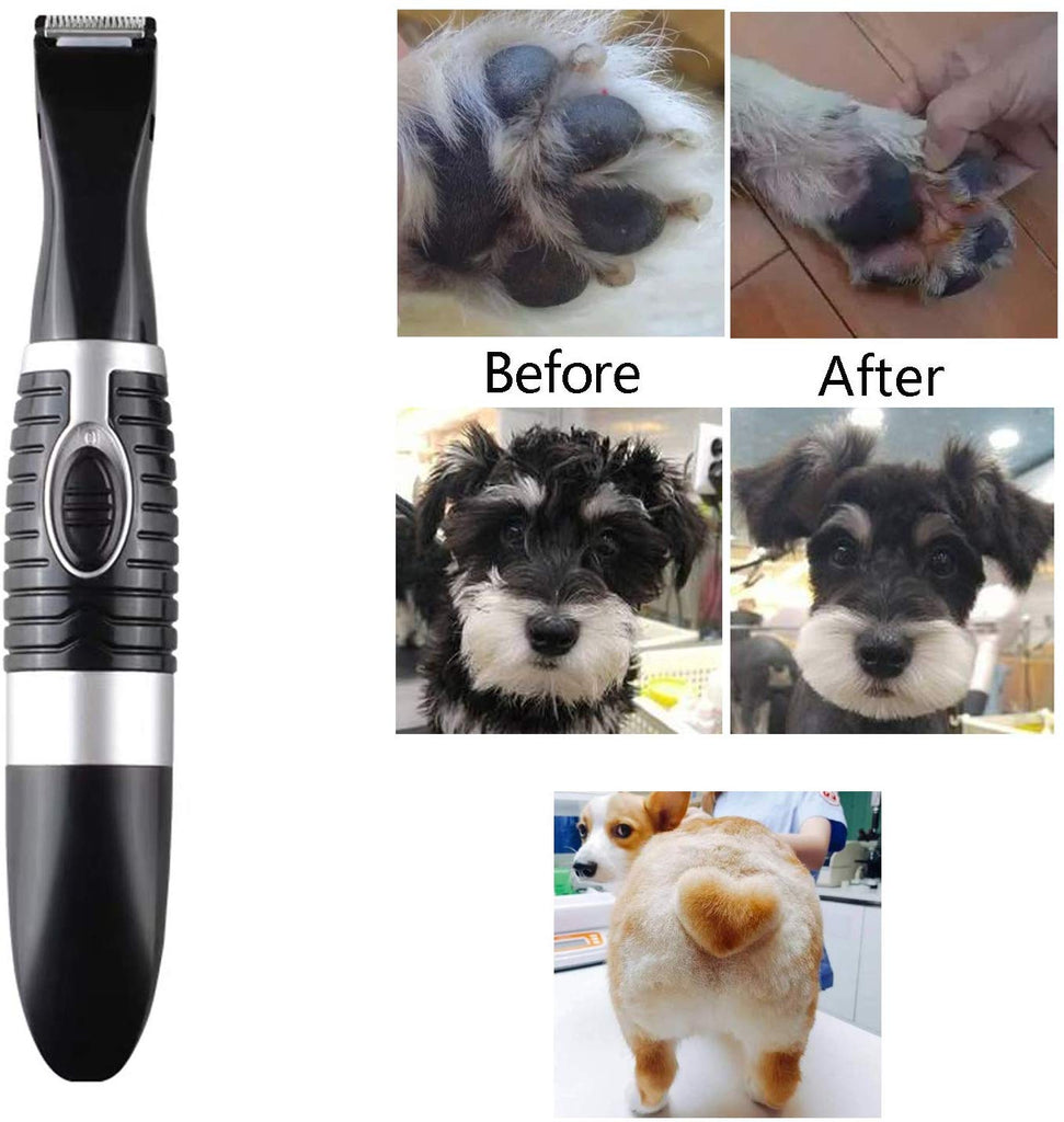 cheap dog grooming places near me