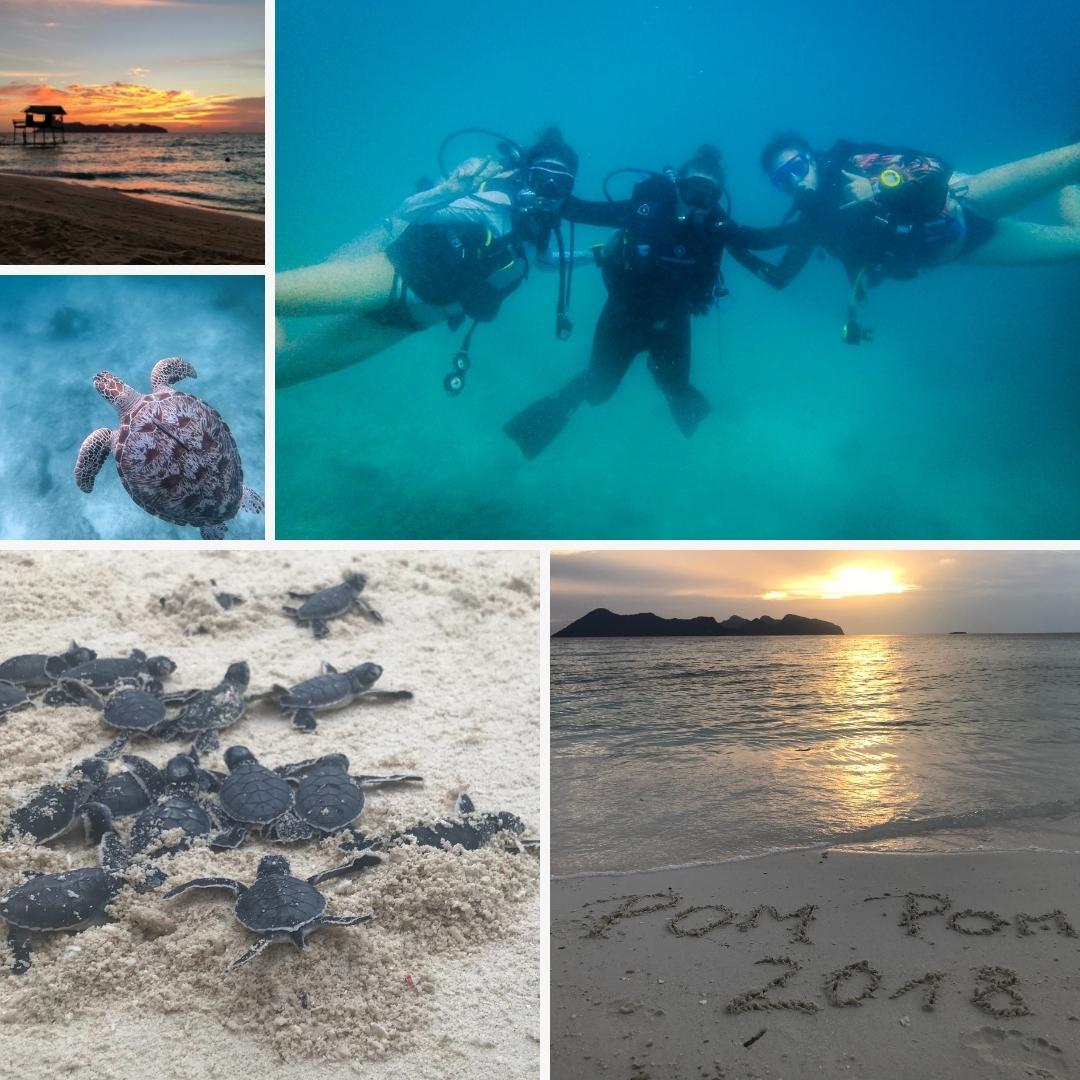 Schildkröten, Sonnenuntergang, Tauchgänge im Meer, Insel Pom Pom
