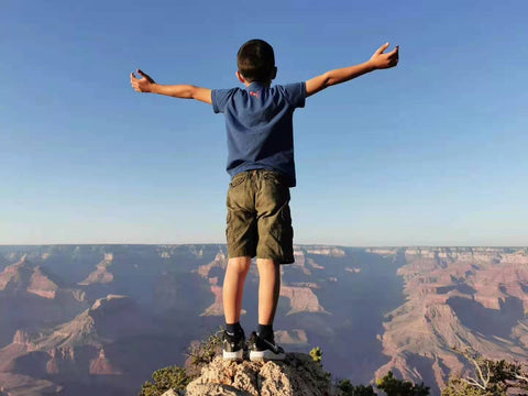 Standing on top of Grand Canyon