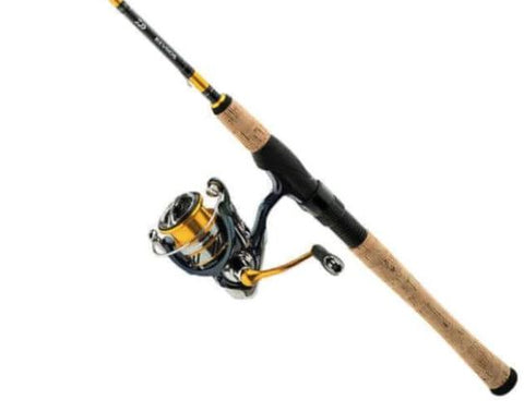 3 Daiwa Spinning Combos for perch fishing for under $100!