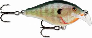 Rapala DT 10 Crankbait- Lake Erie Bait and Tackle Canada- Fishing