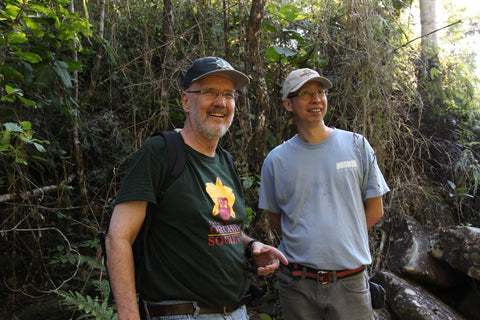 A forest walk in Madagascar