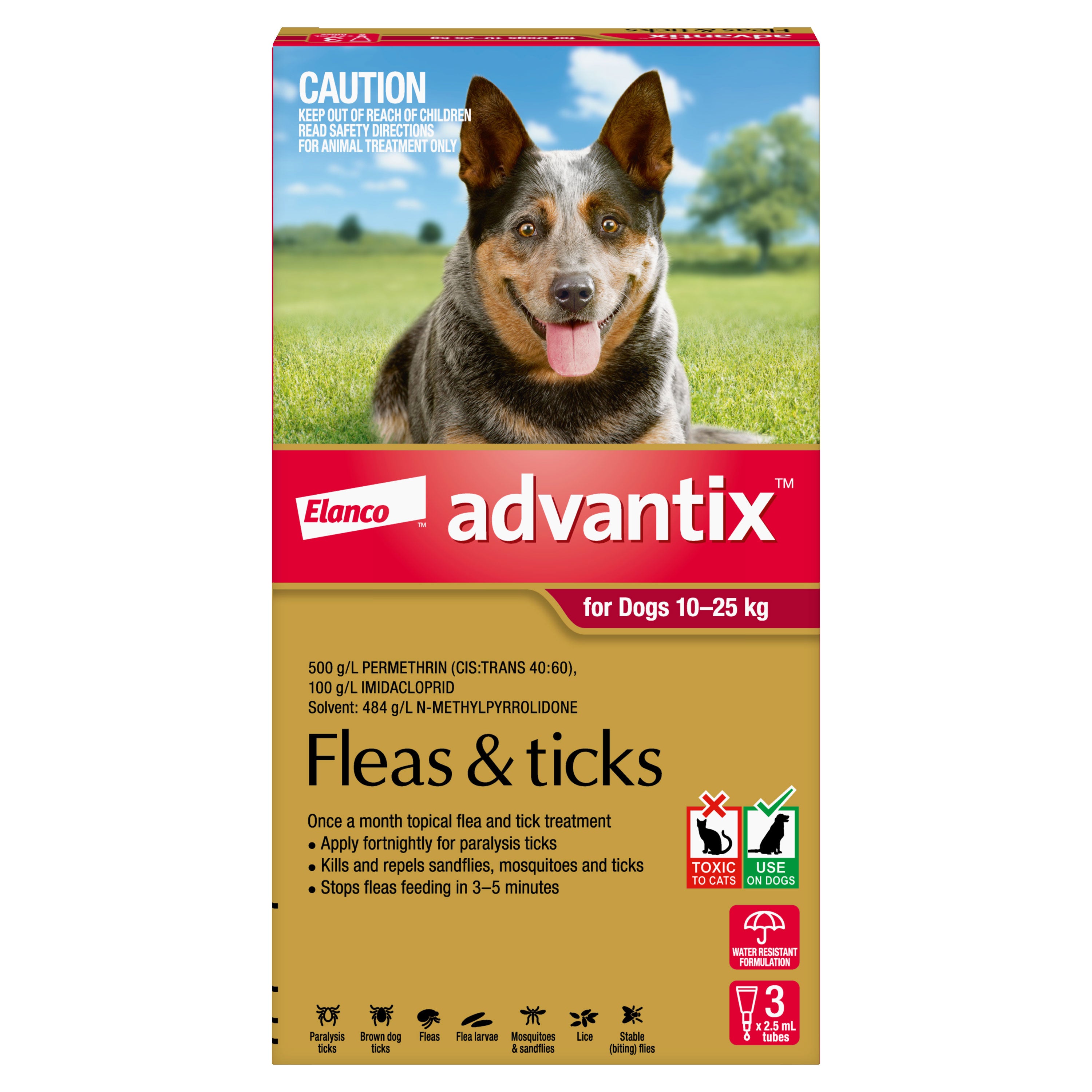 Flea clearance treatment australia