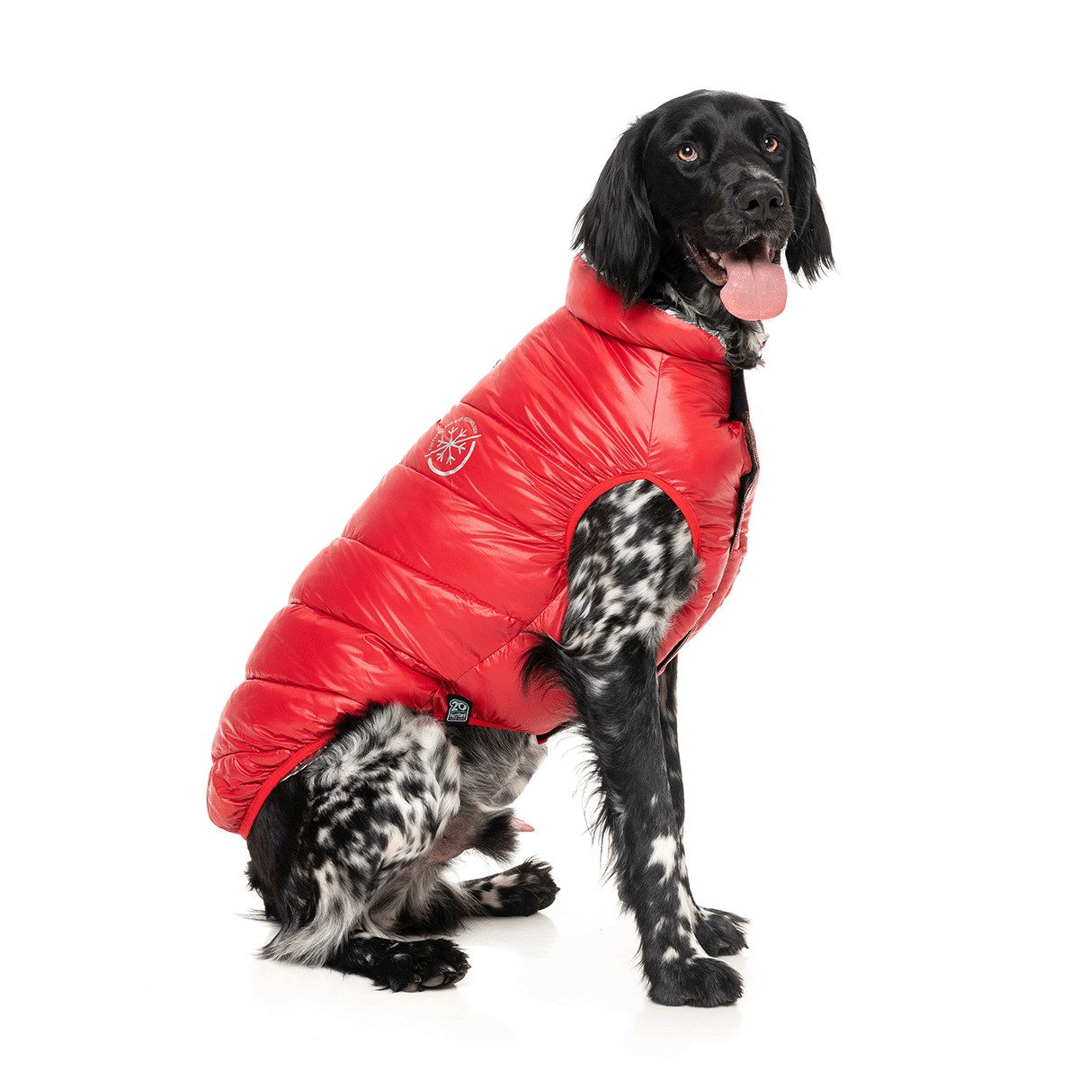 FuzzYard Hakuba Dog Jacket Red | Petstock