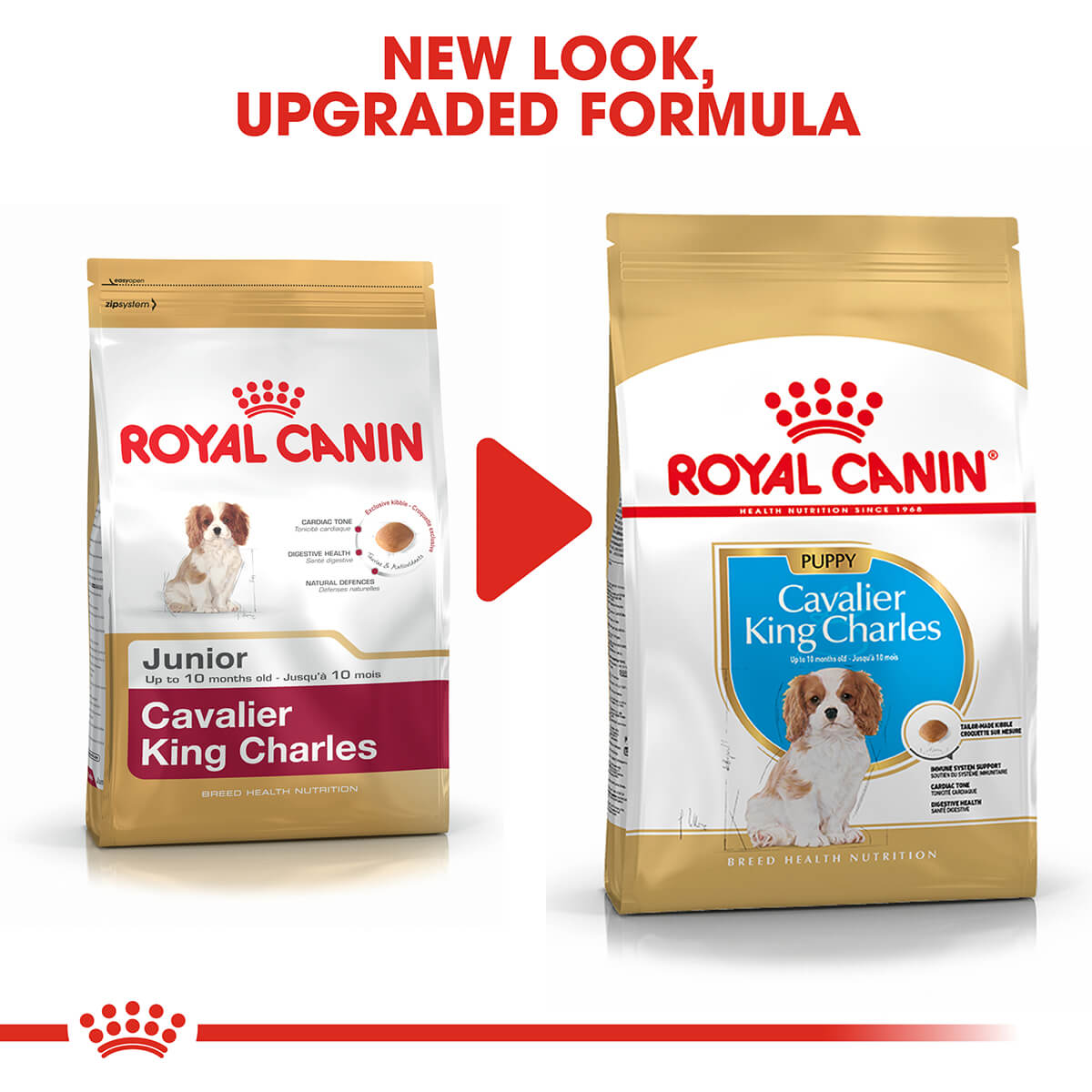 royal canin cavalier king charles junior