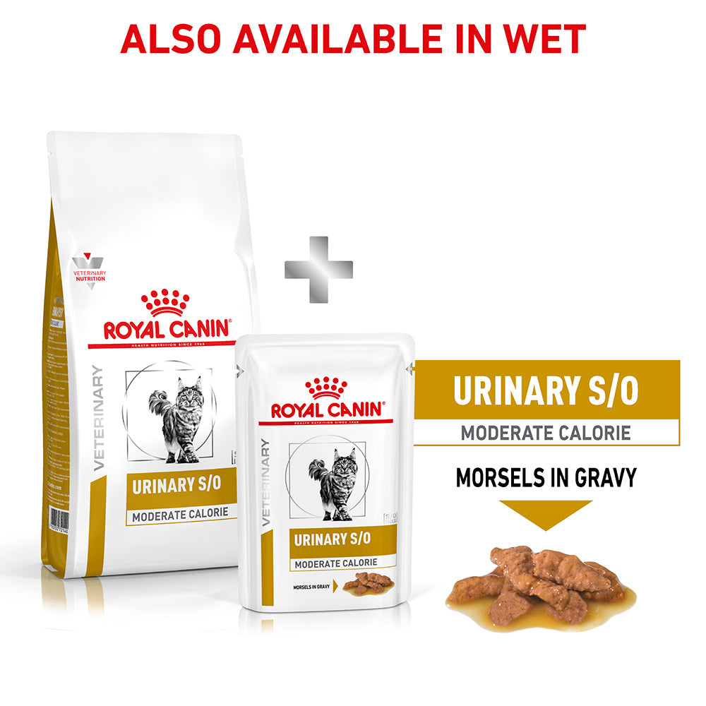 royal canin so dry food