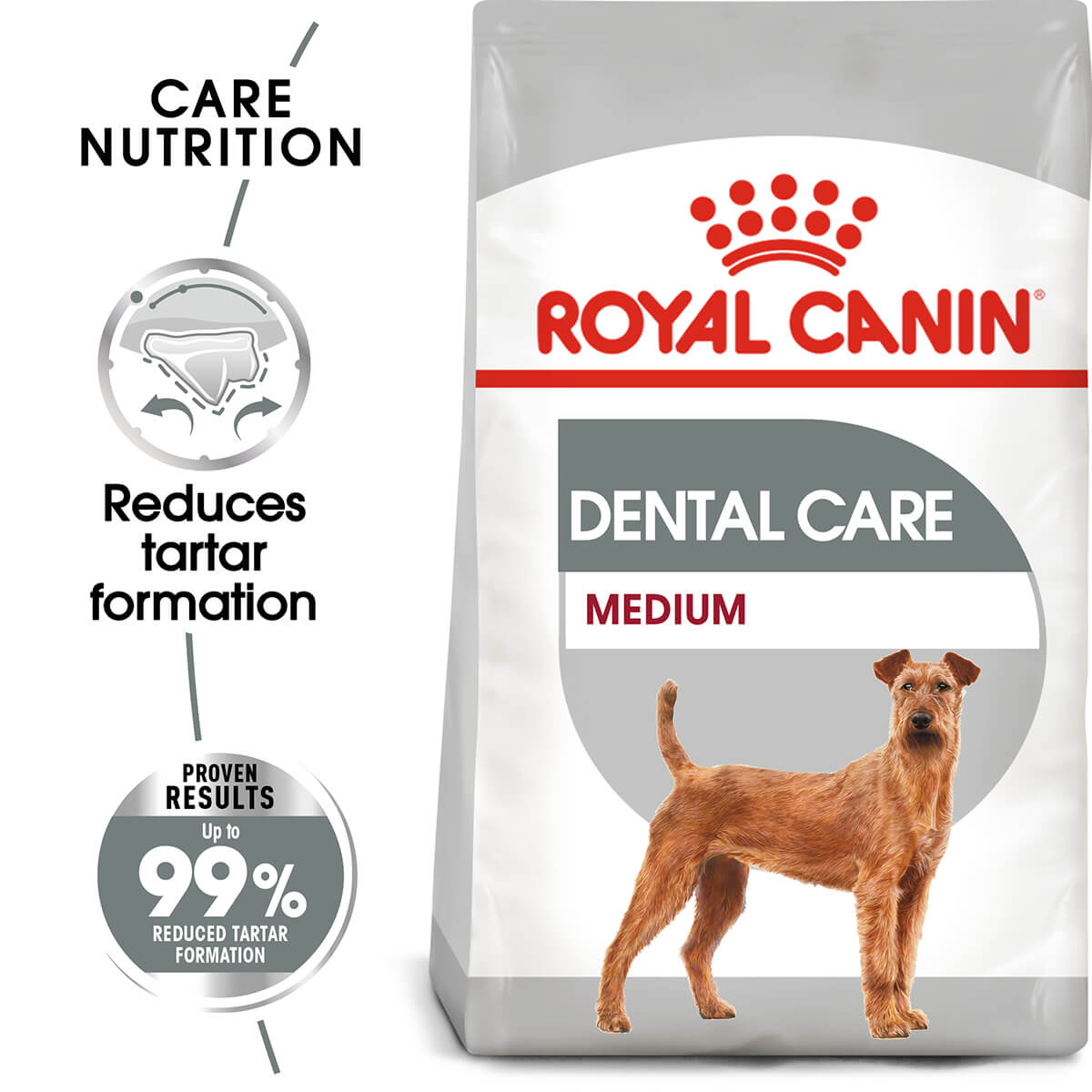 trimmen Verbanning krekel Royal Canin Medium Dental Care Adult Dry Dog Food | PETstock