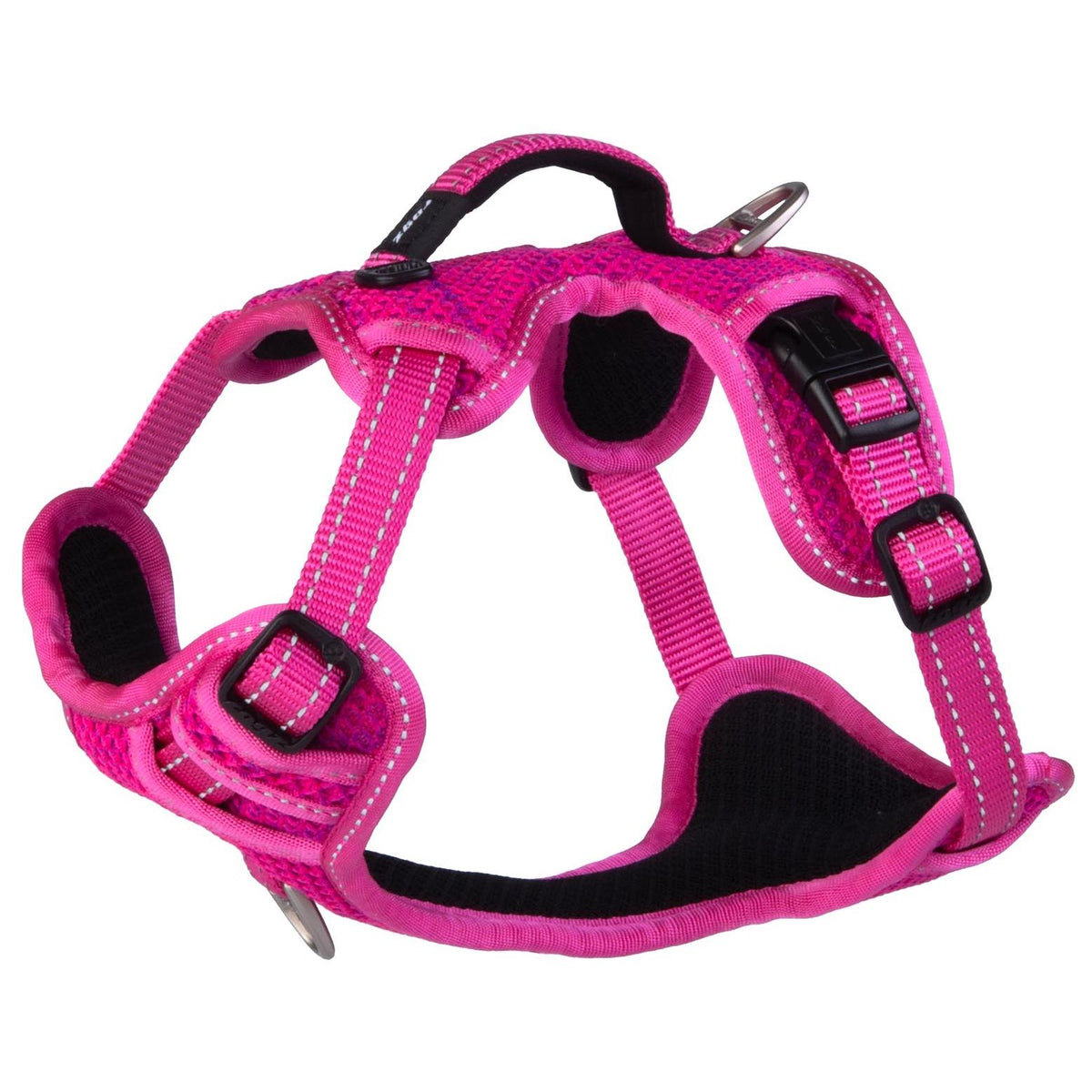 Rogz Specialty Explore Dog Harness | PETstock