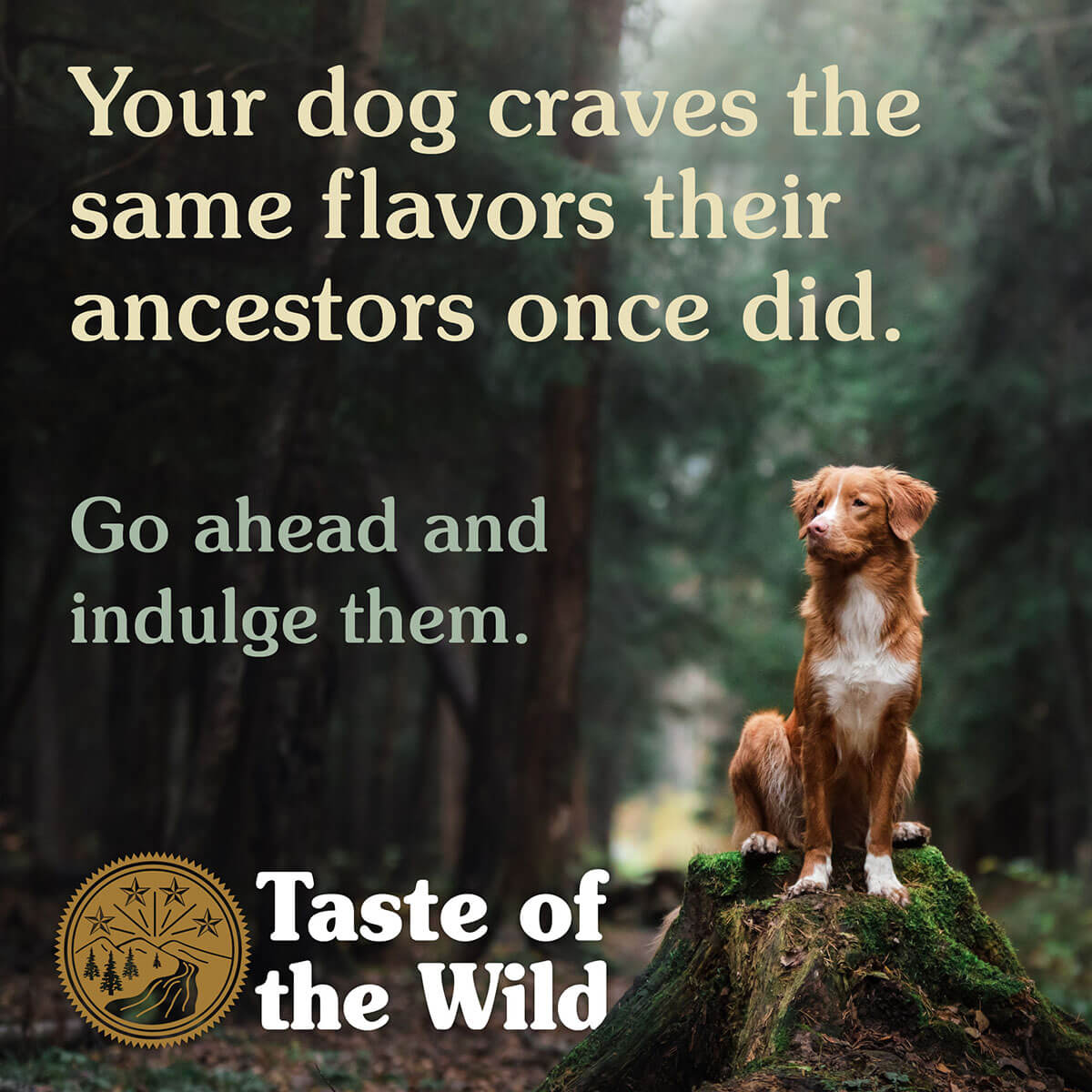 Taste of the Wild Sierra Mountain Dry Dog Food | Petstock