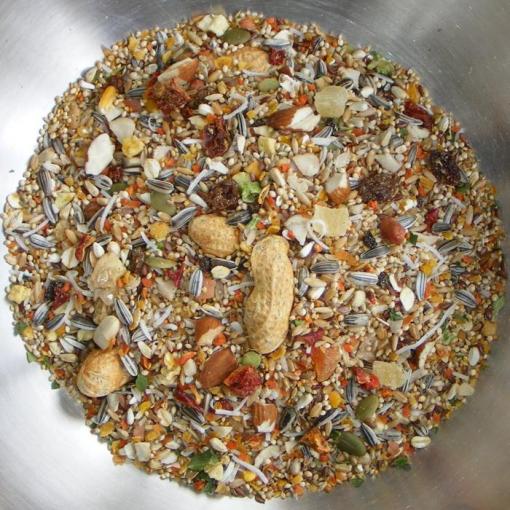 seed mix for conures