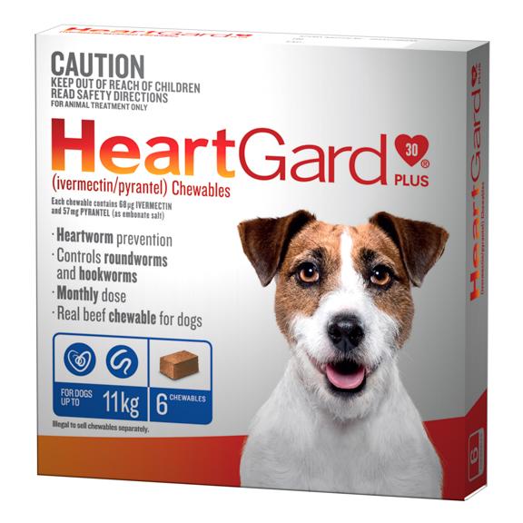 is heartworm in dogs curable
