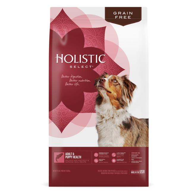 what is holistic dog food