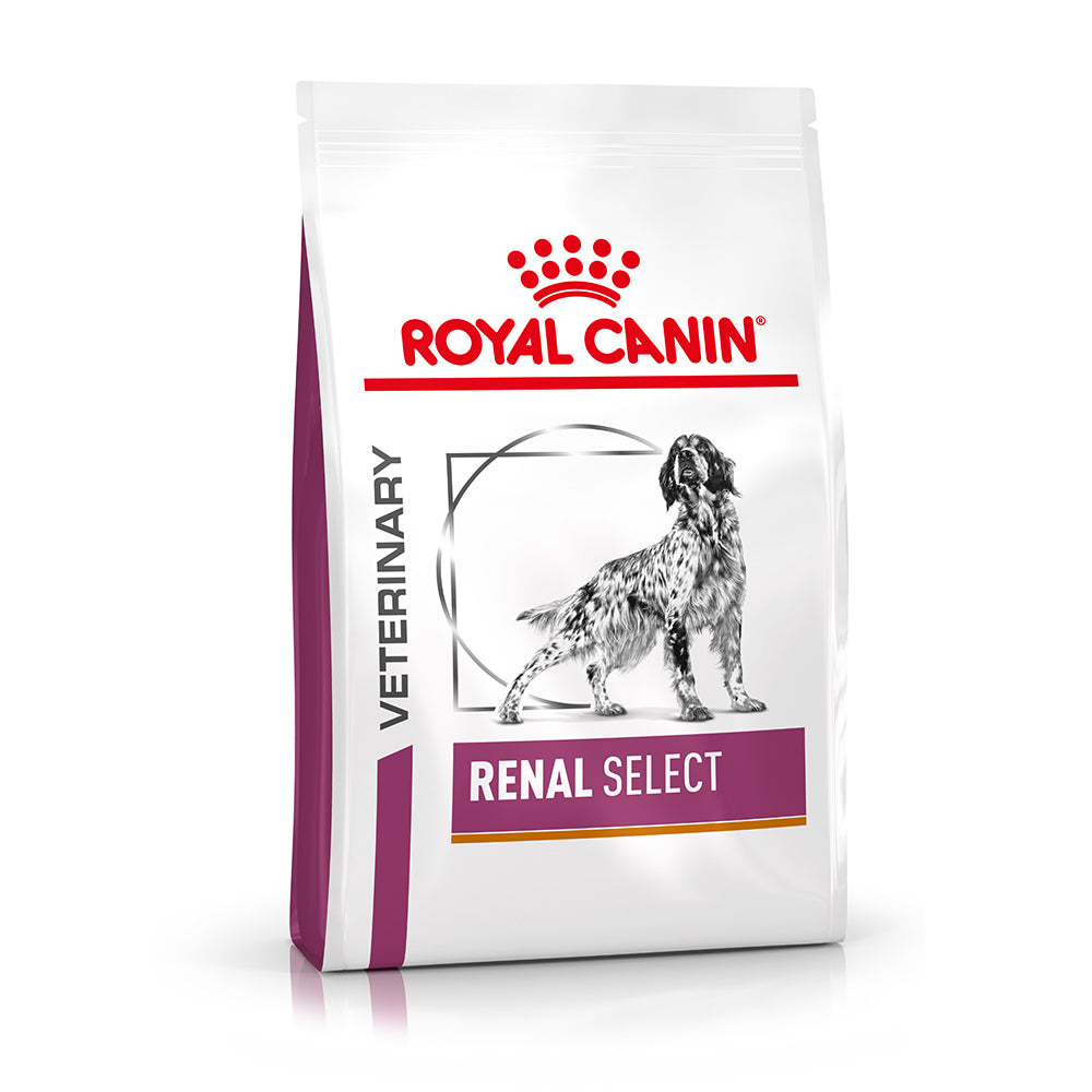 royal canin renal select canine