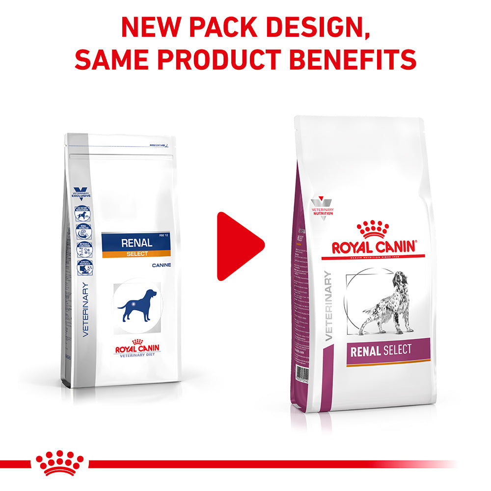 royal canin renal select canine