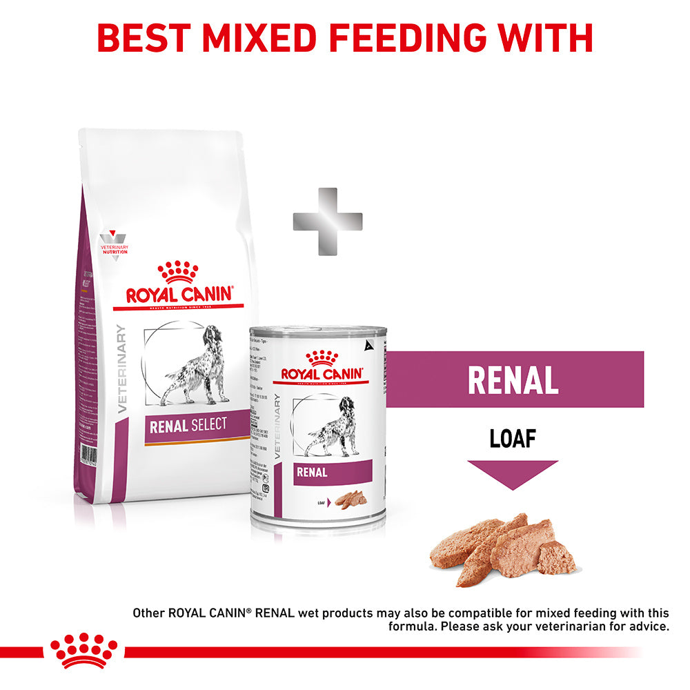 royal canin renal select canine