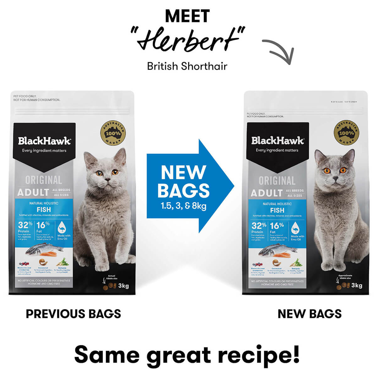 Black Hawk Cat Food Feline Fish – Pet Supplies Empire