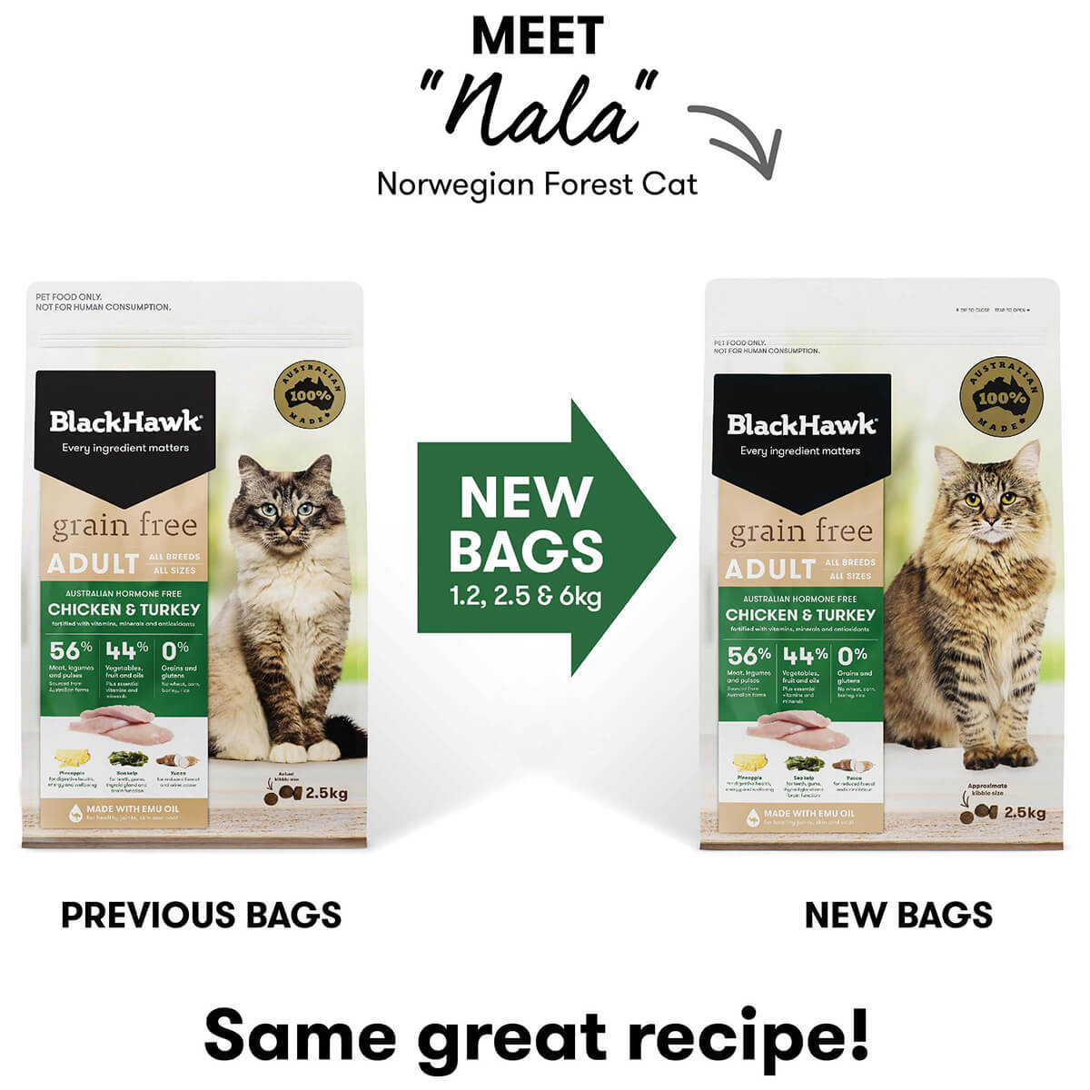 Black Hawk Cat Food Feline Fish – Pet Supplies Empire