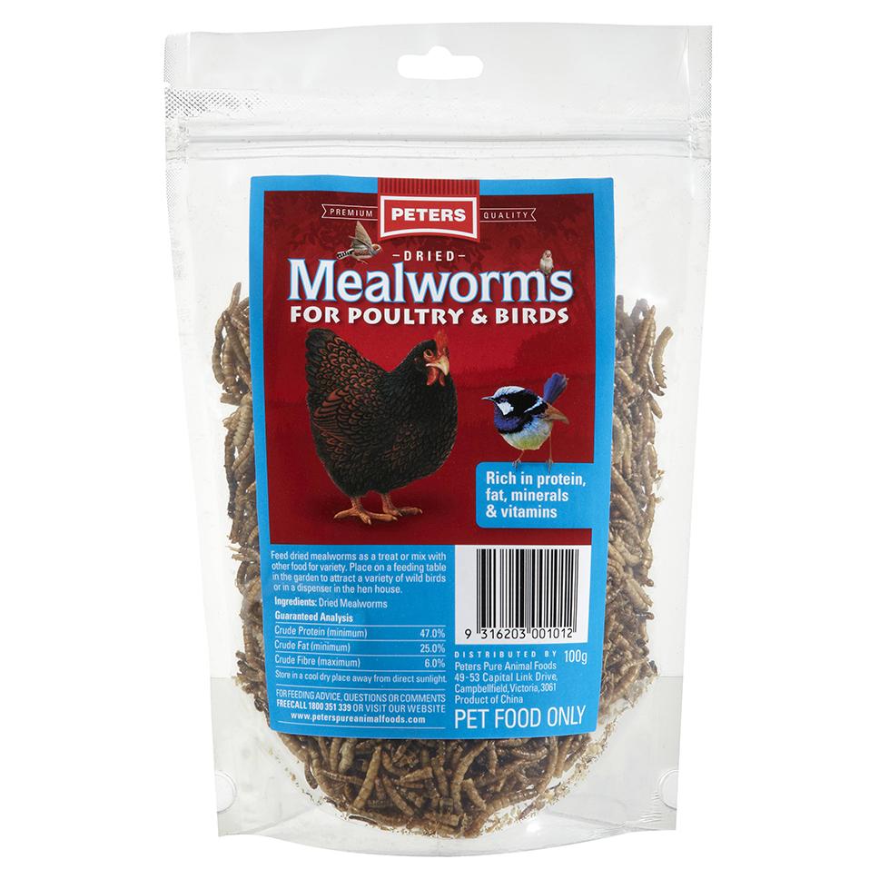 mealworms for birds