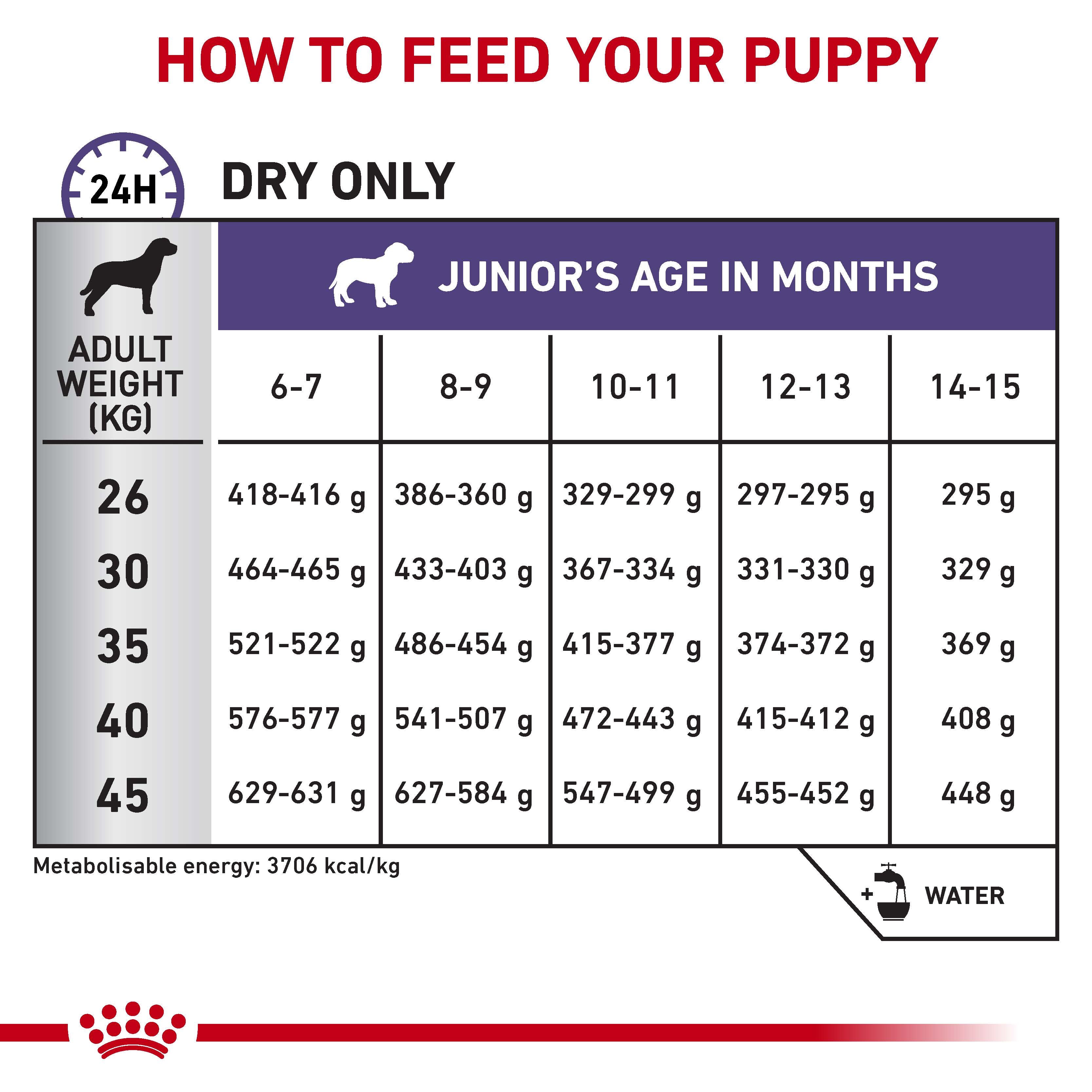 Junior large dog royal clearance canin