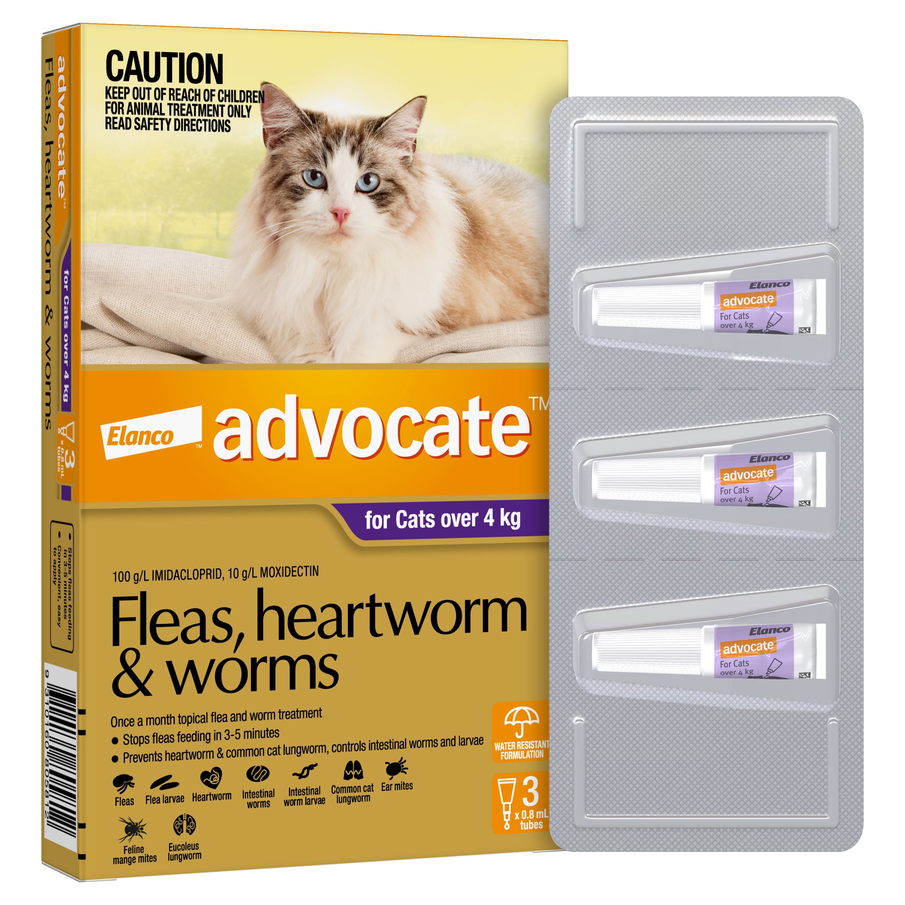 hookworms in cats treatment