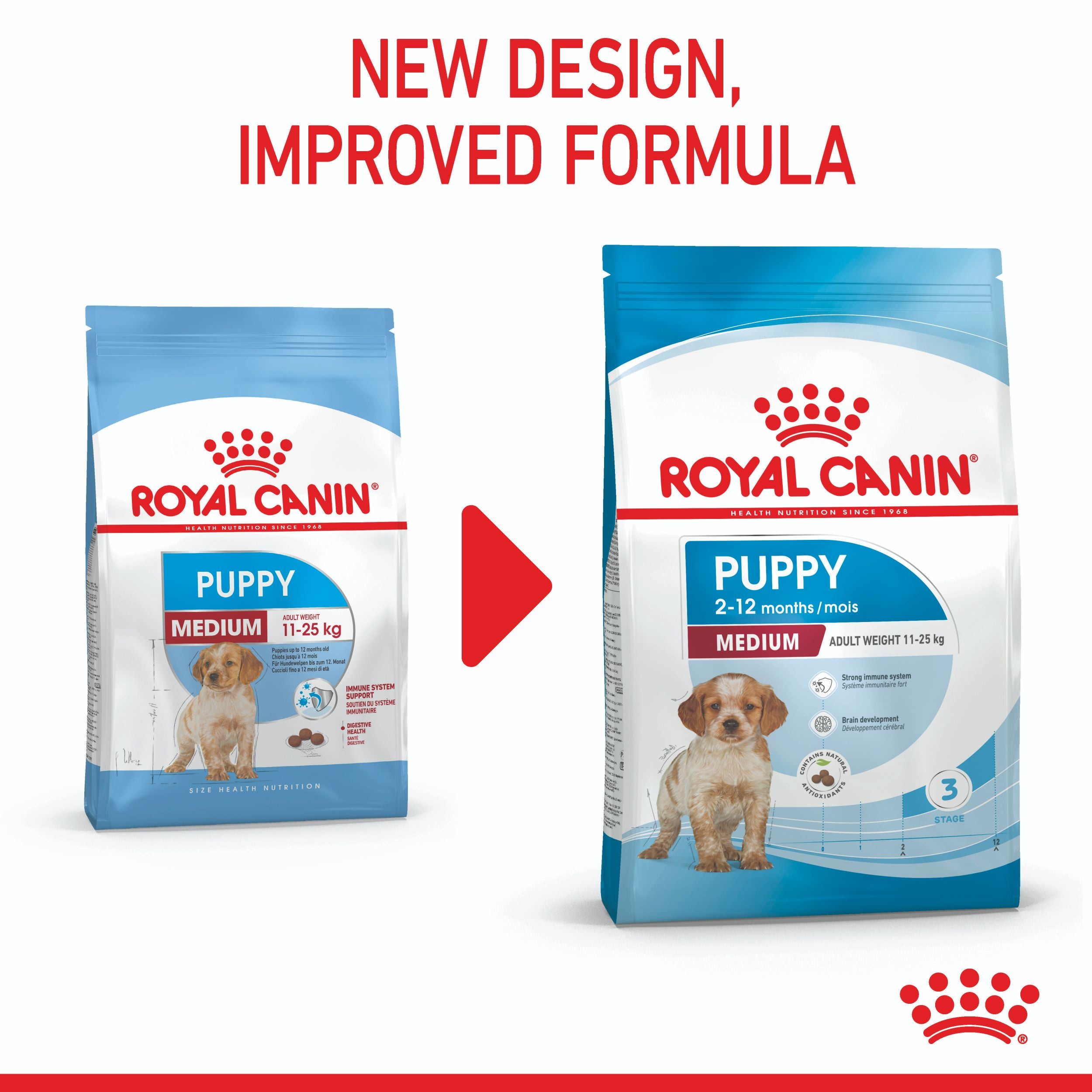 architect leraar stil Royal Canin Medium Breed Puppy Chicken Dry Dog Food | PETstock