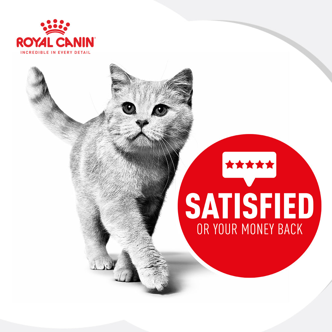 Cheapest royal canin clearance renal cat food pouches