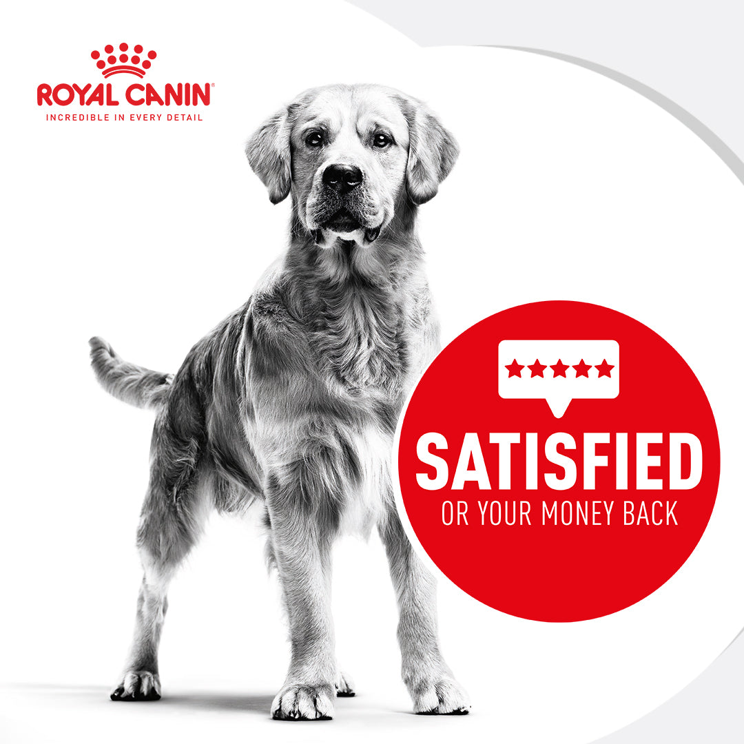  Royal Canin Dachshund Puppy Breed Specific Dry Dog