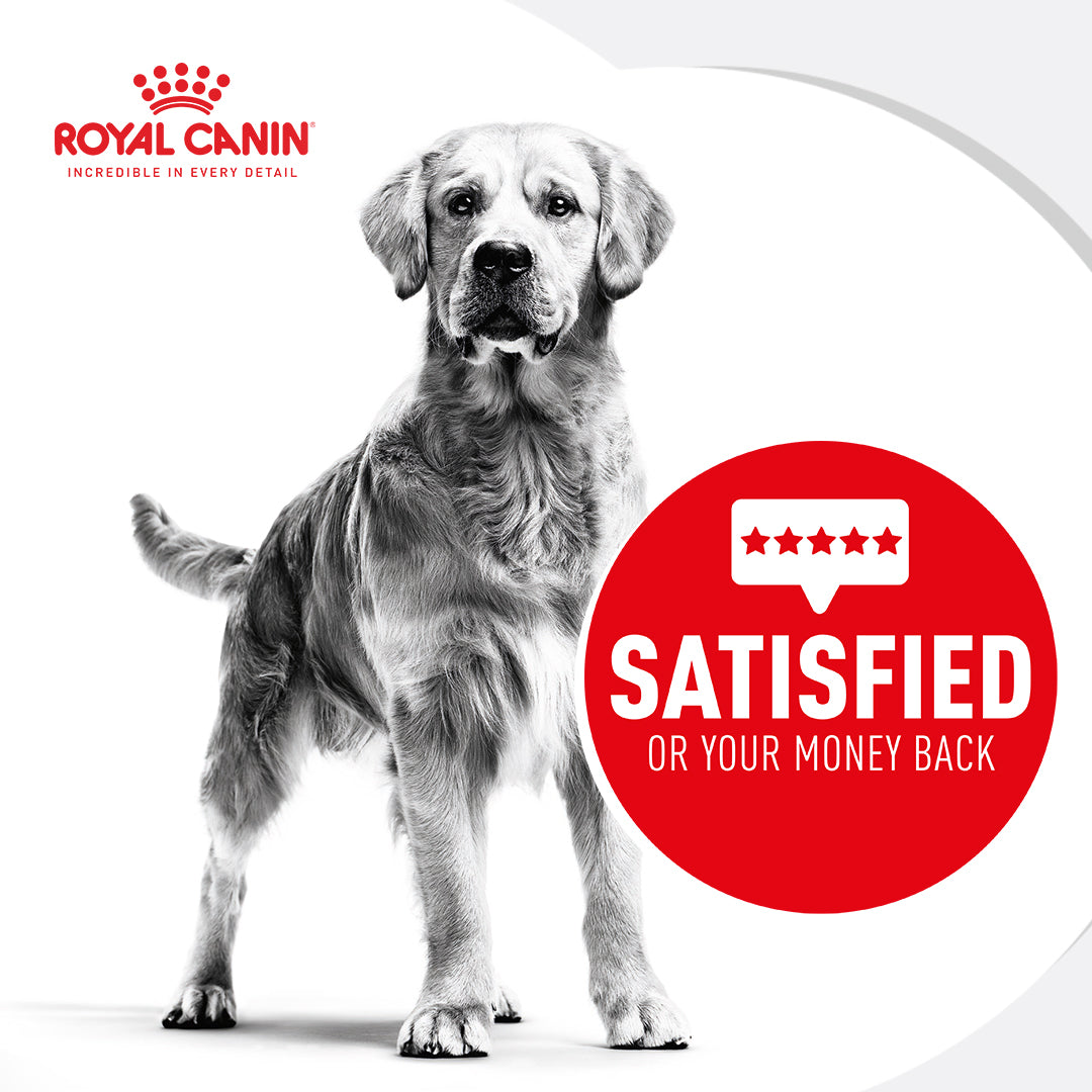 Royal canin schnauzer dog clearance food