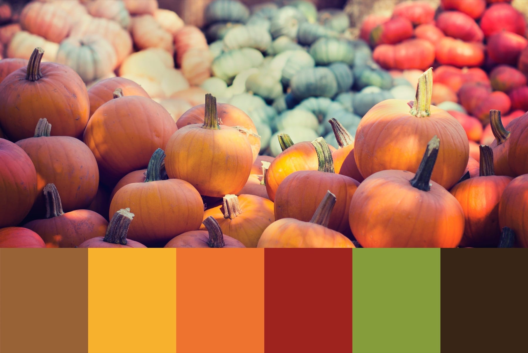 Traditional Thanksgiving decorations colors scheme palette