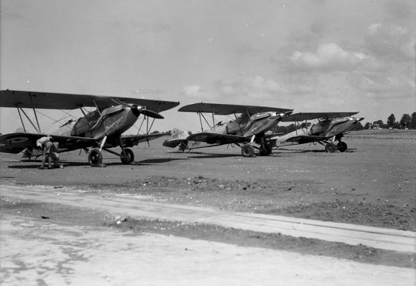 Hawker Hardy aircraft operating from RAF Ramleh in the 1930s