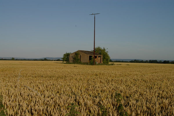 Old airfield building with corn growing on the disused RAF Oakley Airfield