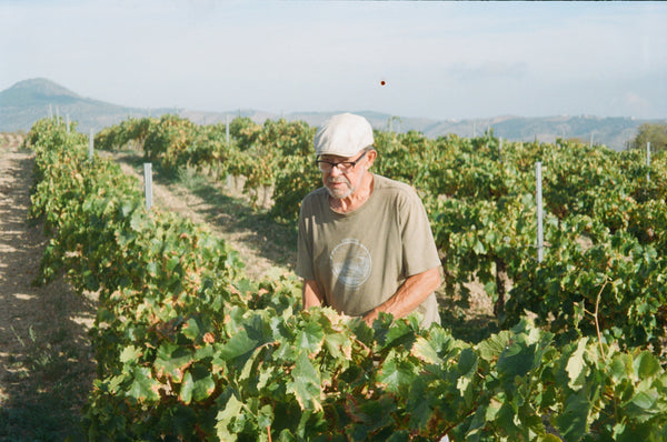 Manuel Valenzuela Barranco Oscuro Organic Natural Wine Alpujarra