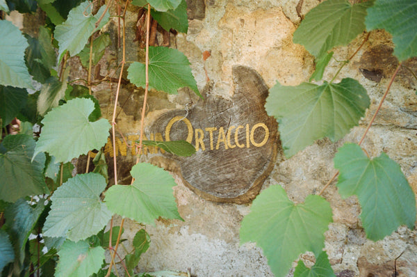Cantina Ortaccio Latera Lake Bolsena Lazio Italian Organic Natural Wine Lazio Massimo Antonuzi