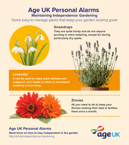 Age UK Personal Alarms