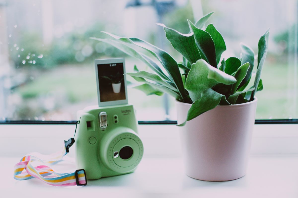 Green Instax camera next to a plant.