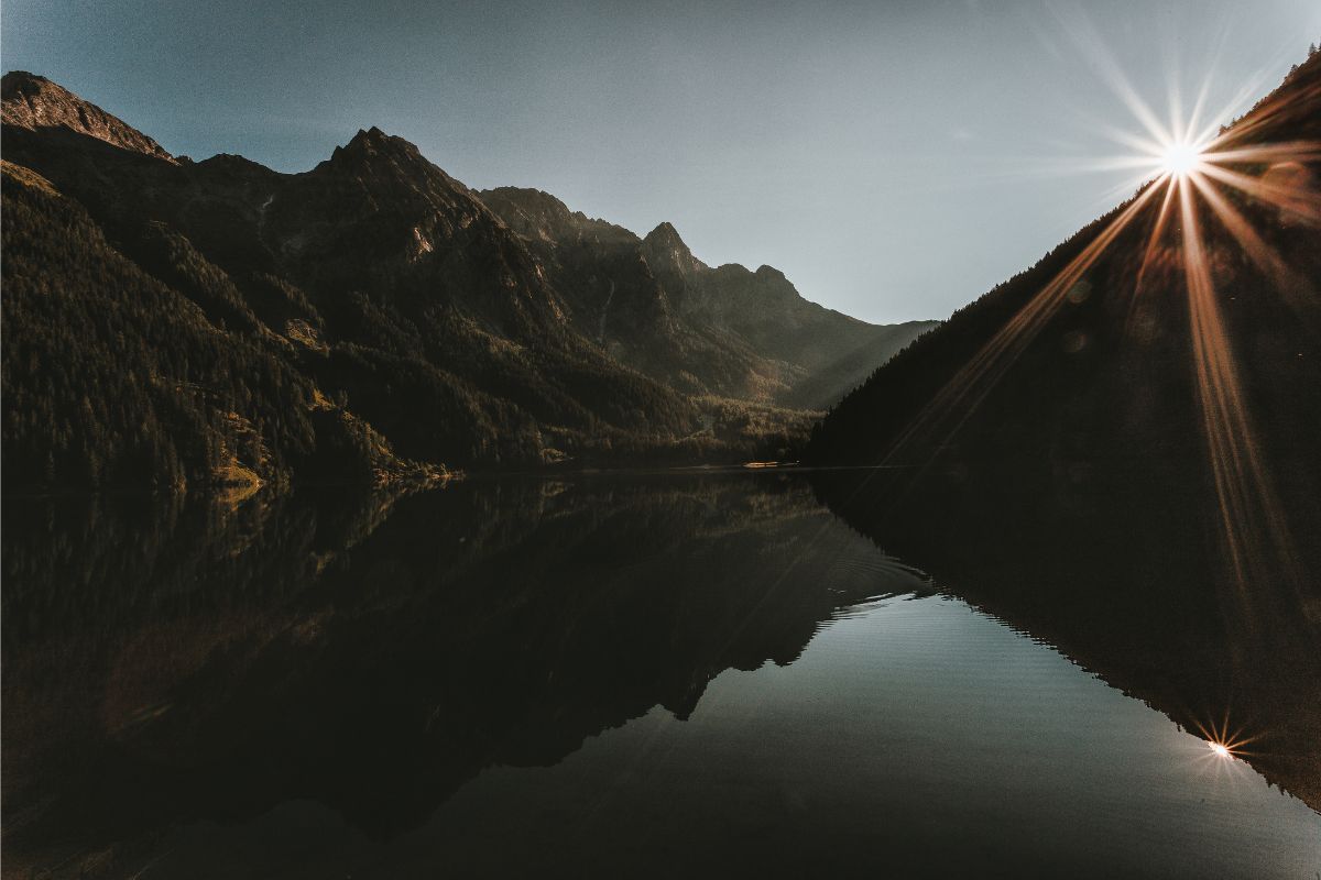 Unique effect created by the sunlight hitting the scene